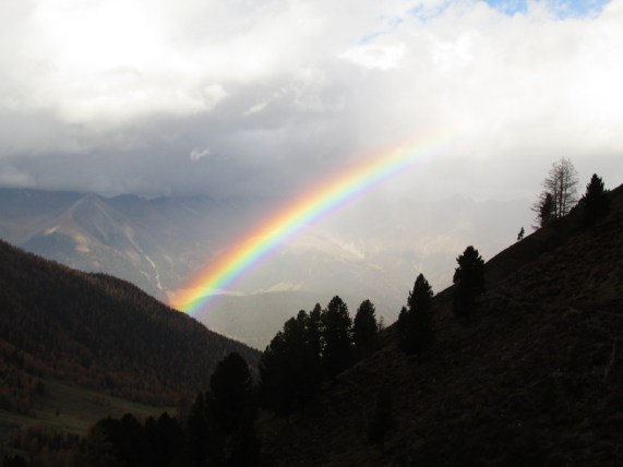 homoeopathiewalder64